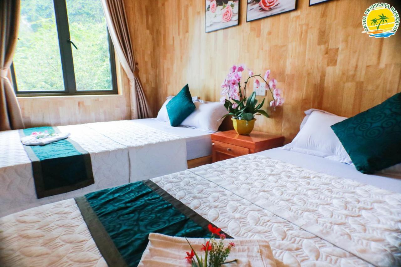 Cat Ba Vintage Homestay Cat Ba Island Exteriör bild