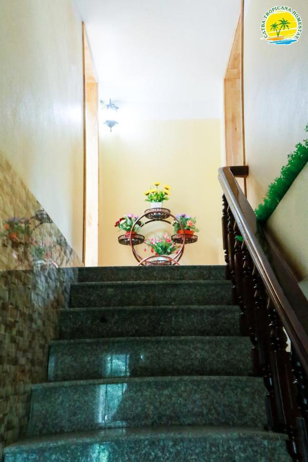 Cat Ba Vintage Homestay Cat Ba Island Exteriör bild